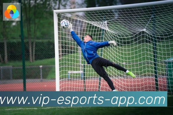 App 展示图